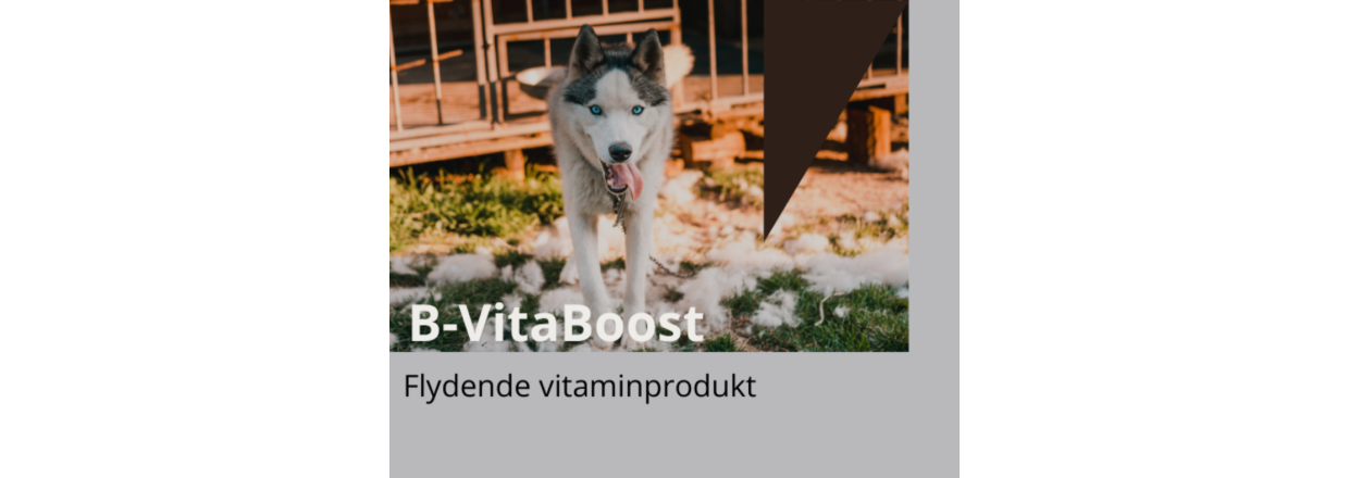 Hvordan kan B-VitaBoost hjlpe din hund?