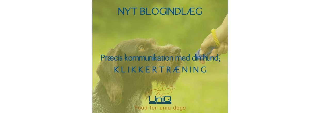 Præcis kommunikation med din hund; K L I K K E R T R Æ N I N G