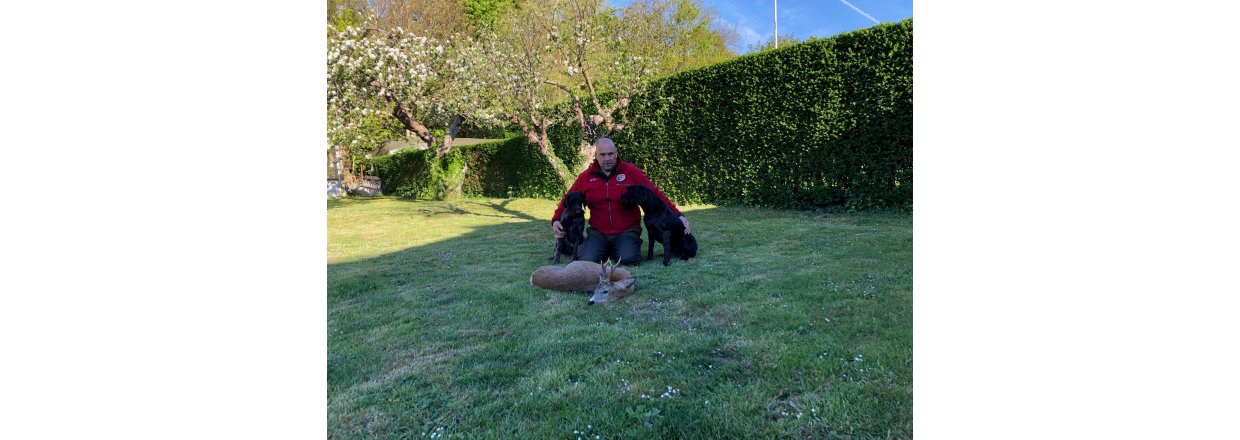 Den travle schweisshund - en beretning af Jesper Sommer Nielsen