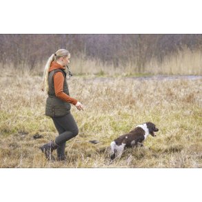 Led og bevægelighed