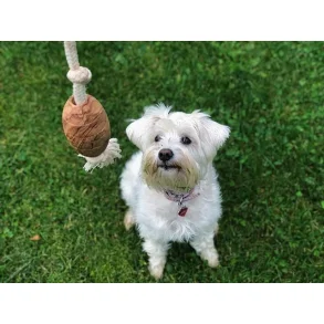 Olivi rugby med bomuldsreb, ca. 36cm