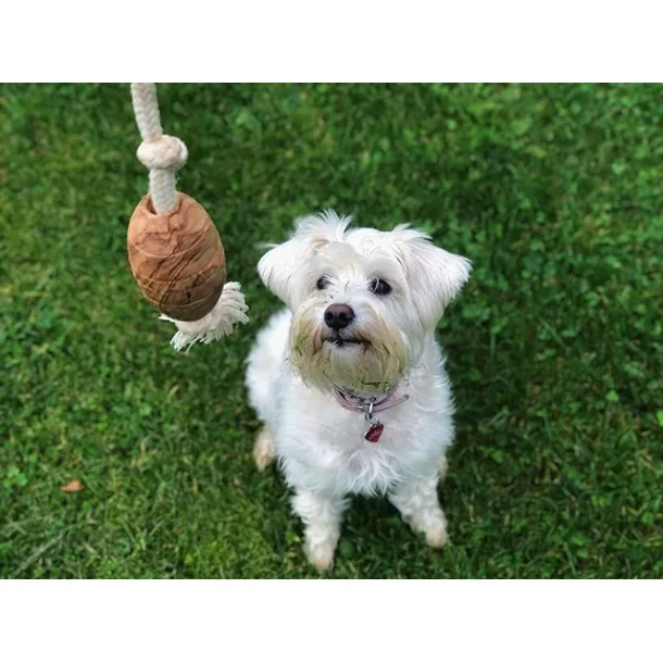 Olivi rugby med bomuldsreb, ca. 36cm