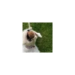 Olivi rugby med bomuldsreb, ca. 36cm