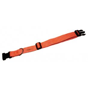 Uniq Orange Hundehalsbnd