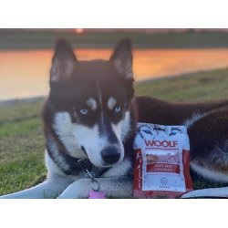 Woolf Soft Beef Chunkies 100g