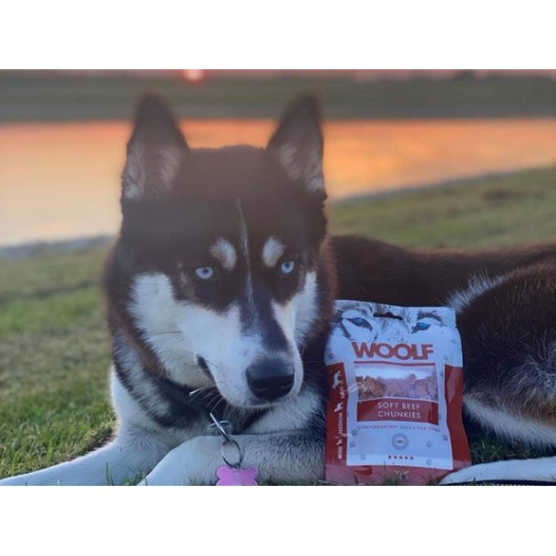 Woolf Soft Beef Chunkies 100g