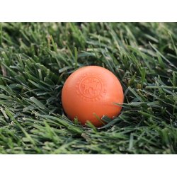 Planet Dog Squeak Bold, Orange