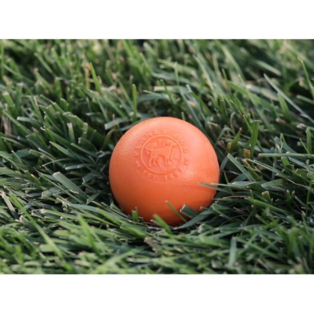Planet Dog Squeak Bold, Orange