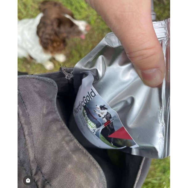 Electrolyt Support | Tilskud til aktive hunde