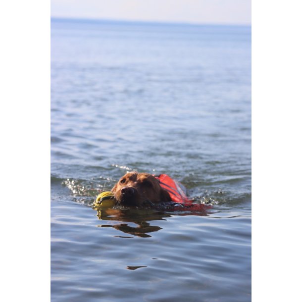 AC Life Jacket Str. XS-XXL