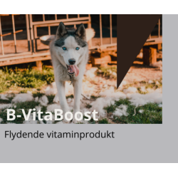 B-VitaBoost | Vitamintilskud til hunde