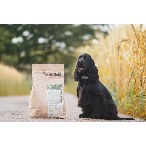 UniQ Nordic Gold Balder | Kornfrit hundefoder med lam 