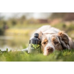 Thor | Olie med baldrian til nervøse hunde