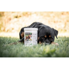 Builder | Tilskud til hundens muskelopbygning