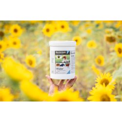 Vitaler | Naturlige vitaminer og mineraler til din hund