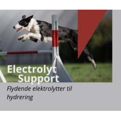 Electrolyt Support | Tilskud til aktive hunde