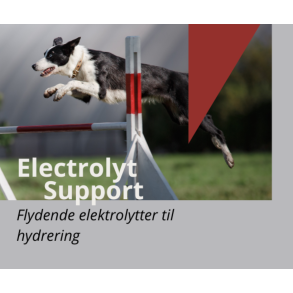 Electrolyt Support | Tilskud til aktive hunde [DK]