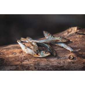 Fisk Brislinger 200g - Trret hundesnack