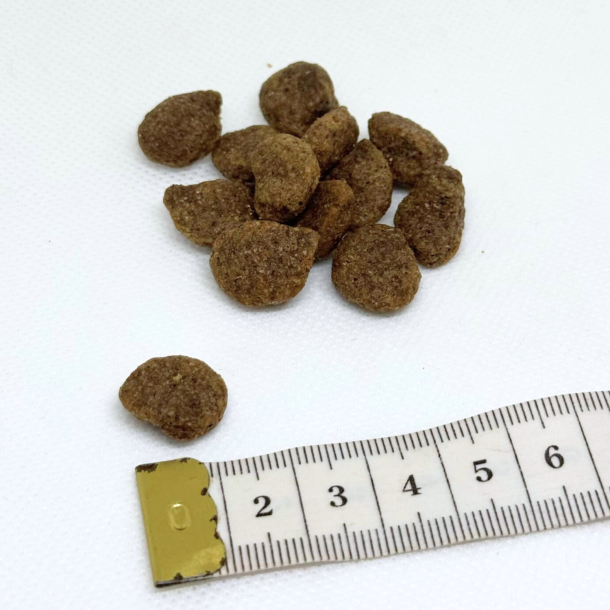 UniQ Nordic Gold Balder | Kornfrit hundefoder med lam 