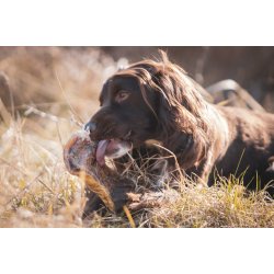 Pandeskaller 200g  Trret Hundesnack