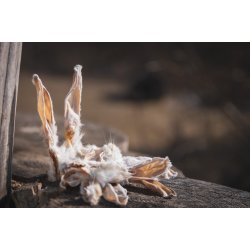 Kaninrer med pels til hund  100g 