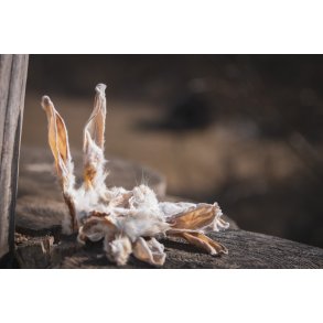 Kaninrer med pels til hund  100g 