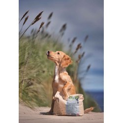 UniQ Nordic Gold Freja | Kornfrit hvalpefoder med kylling og fisk