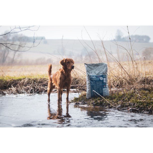 UniQ | Fish No grain | Single protein  [DK]