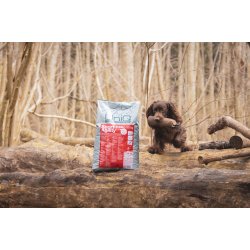 UniQ | Sport &amp; Agility No Grain  [DK]