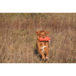 Trnings dummy Orange/Grn og Rd 250 g og 500 g