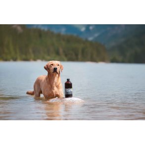 Gefion | Olie tilskud til understttelse af hundens led