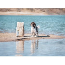 UniQ Nordic Gold Mimer | Kornfrit foder til ldre hunde