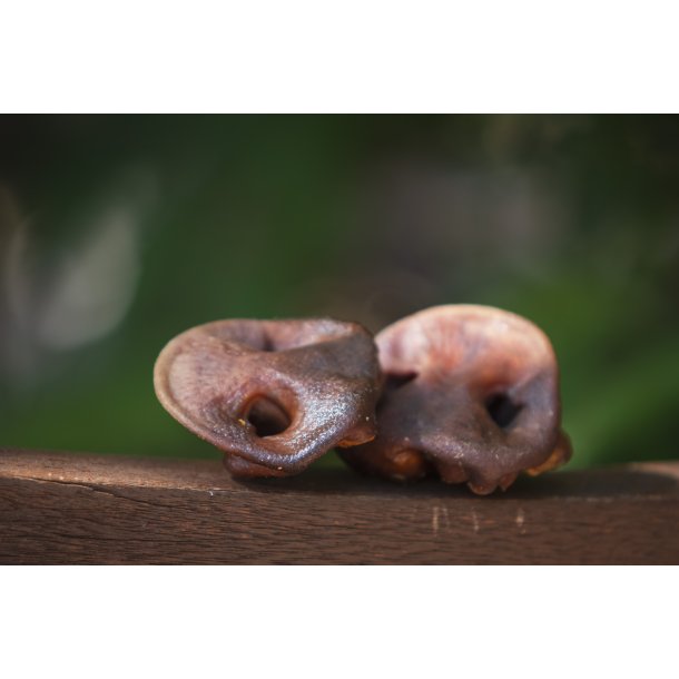 Grisetryner til hund  4 stk.