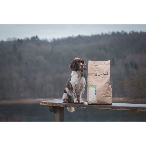 UniQ Nordic Gold Hejmdal | Insektfoder til voksne hunde