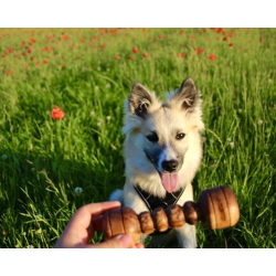 Olivi hndvgt. lavet i oliventr