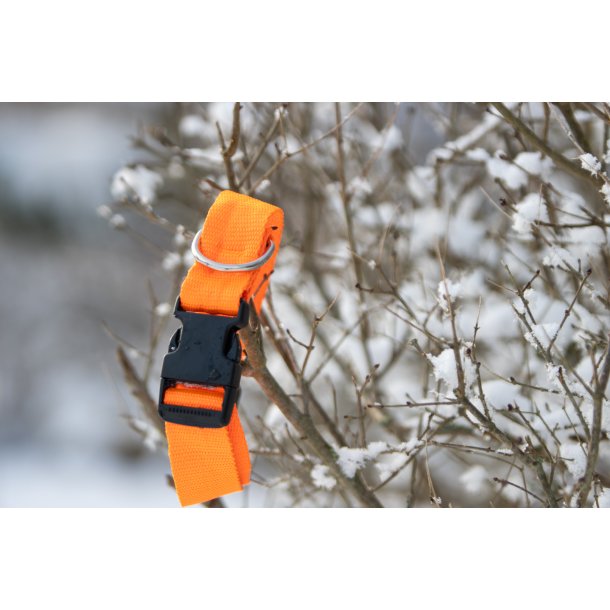 UniQ Orange Hundehalsb�nd