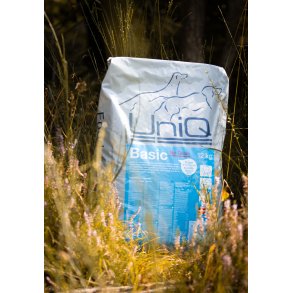 UniQ Basic No Grain