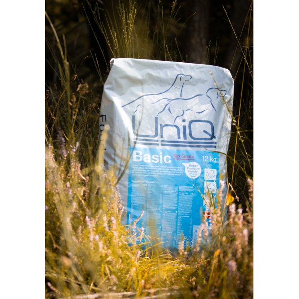 UniQ Basic No Grain