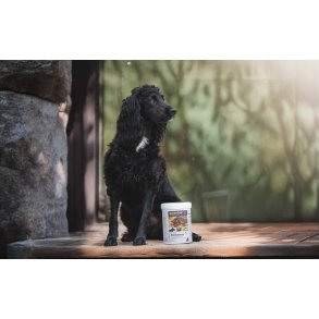 Performer | Naturligt energitilskud til hunden