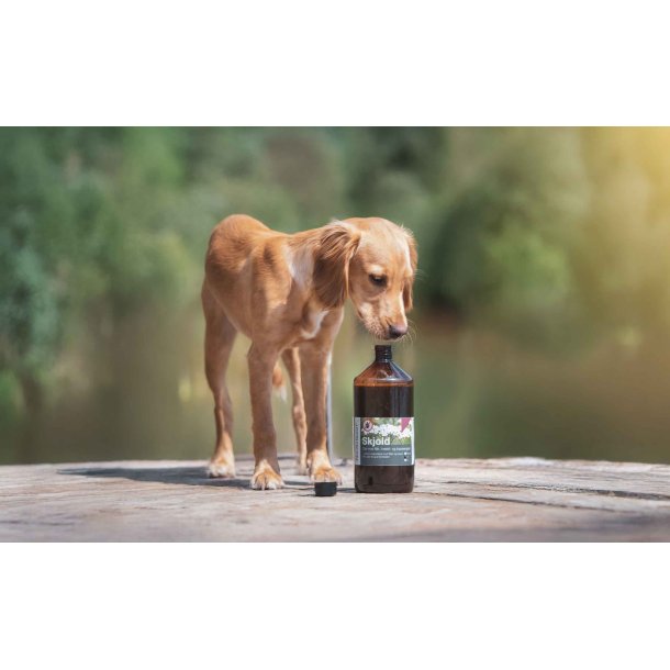 Skjold | Naturlig beskyttelse mod flter til hunde
