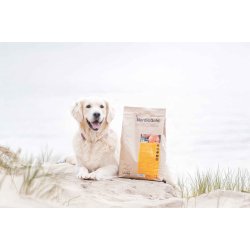 UniQ Nordic Gold Idun | Glutenreduceret voksen hundefoder