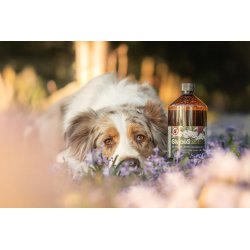 Skjold | Naturlig beskyttelse mod flter til hunde