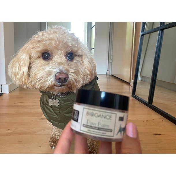 Biogance Paw Balm, 50ml
