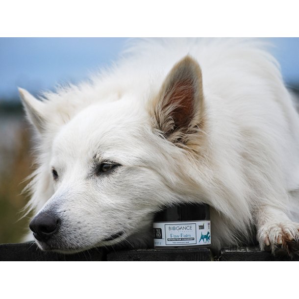 Biogance Paw Balm, 50ml