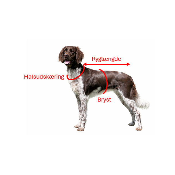 Paikka Recovery vinterfrakke, dark