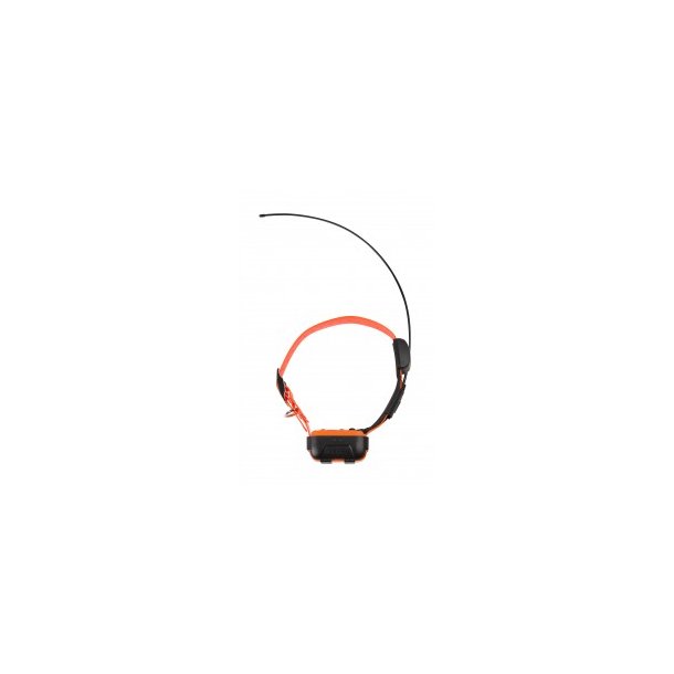 Uniq halsbnd GPS
